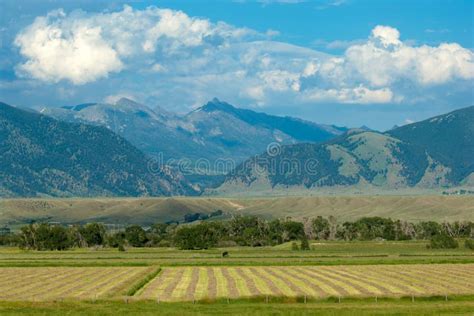 Montana landscape stock image. Image of endless, autumn - 24119697