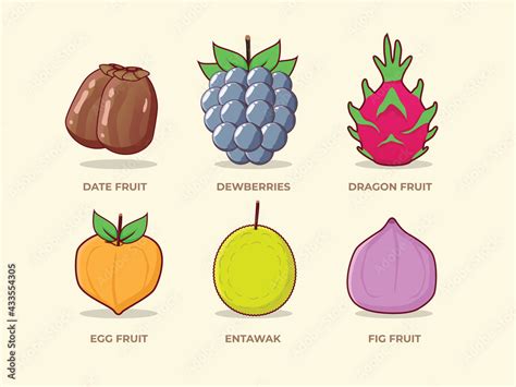 Fruit Set Illustration of various fruits. Date Fruit, Dewberries ...