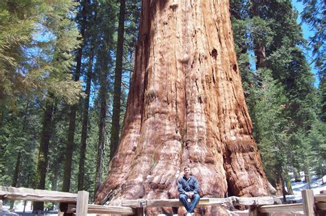 Strength Food Life: Sequoia National Forest