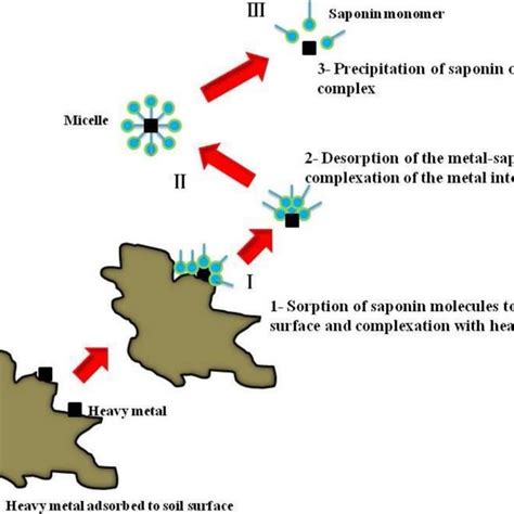 6: Schematic illustrations of mechanisms for heavy metals removal by ...