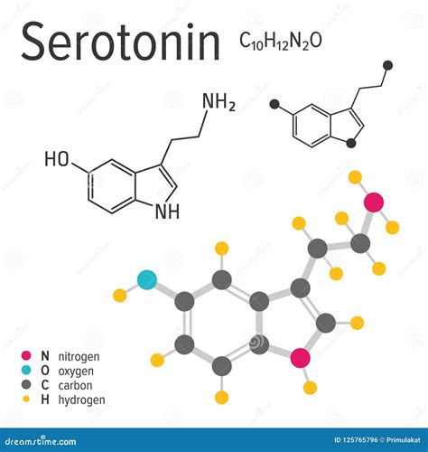 Serotonin Molecule, Is A Monoamine Neurotransmitter. Structural Cartoon Vector | CartoonDealer ...