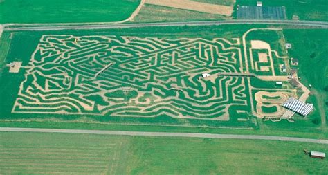 Get Lost In The 9 Best Corn Mazes In Pennsylvania