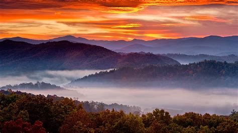 HD wallpaper: Tremont, Great Smoky Mountains, creek, rocks, trees, Tennessee, USA | Wallpaper Flare