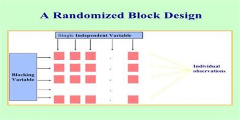 Randomized Block Design - Assignment Point