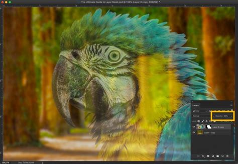 The Ultimate Guide to Layer Mask in Photoshop - TrickyPhotoshop