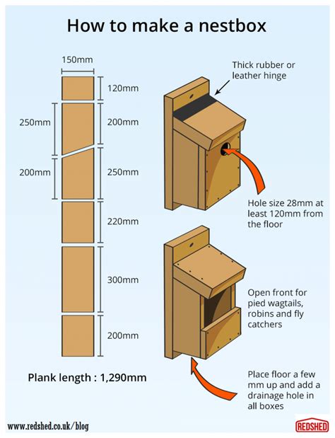 A Comprehensive Guide To Bird Nest Box Designs: Enhancing Habitat For ...