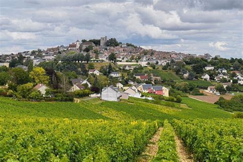 Sancerre & The Upper Loire Wine Guide: France's Most Diverse Wine ...