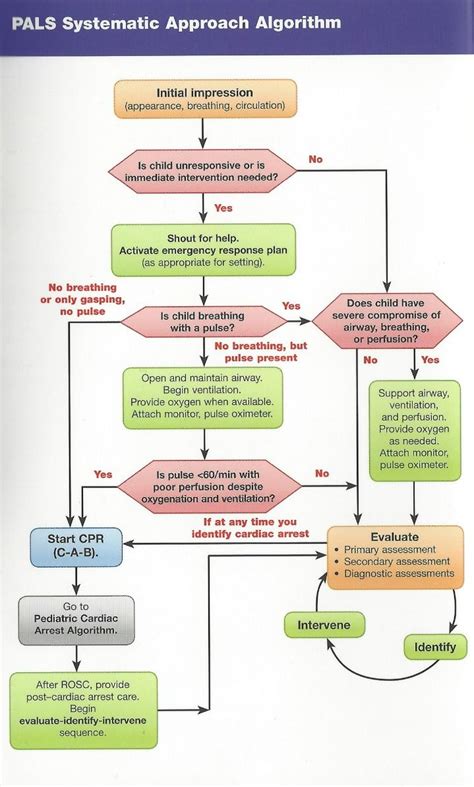 How to Pass the Pediatric Advanced Life Support (PALS) Like A Boss in 2021