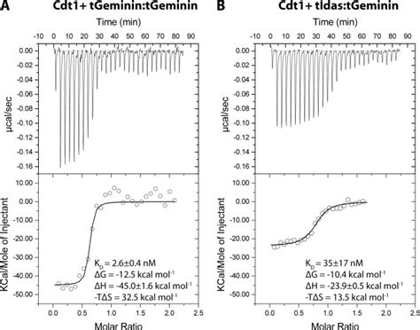 The Geminin and Idas coiled coils preferentially form a heterodimer that inhibits Geminin ...