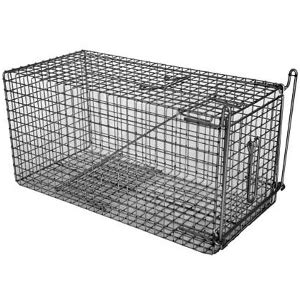 Possum Trap – Stirling Hire