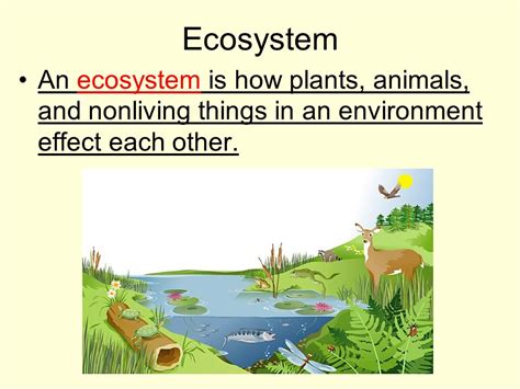 Free Ecosystem Cliparts, Download Free Ecosystem Cliparts png images ...