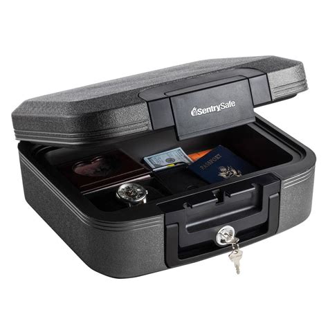 SentrySafe 0.28 cu. ft. Fireproof & Waterproof Safe Box with Organizer CHW20121 - The Home Depot