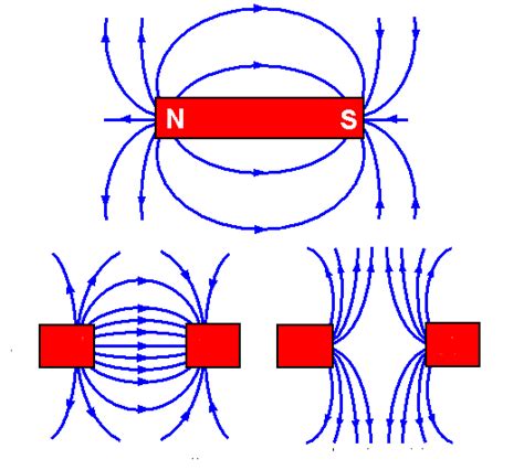 圖表·Magnetic Polarity | Quizlet