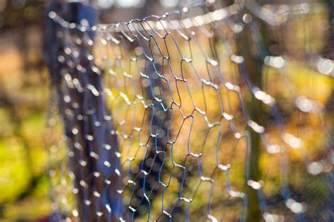 Premium Photo | Metal fence background real fence close-up and texture ...