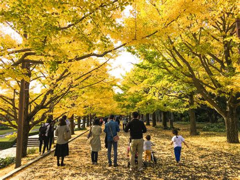 Tokyo autumn colors (1) - Japan by web