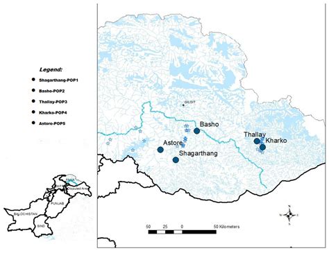 A pilot study—genetic diversity and population structure of snow leopards of Gilgit-Baltistan ...