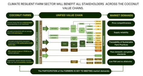 The unified coconut value chain | Download Scientific Diagram