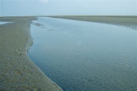 Landscape of Bakkhali Sea Shore Stock Photo - Image of beach, wave: 274151566