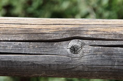 Wooden Fence Pole Free Stock Photo - Public Domain Pictures