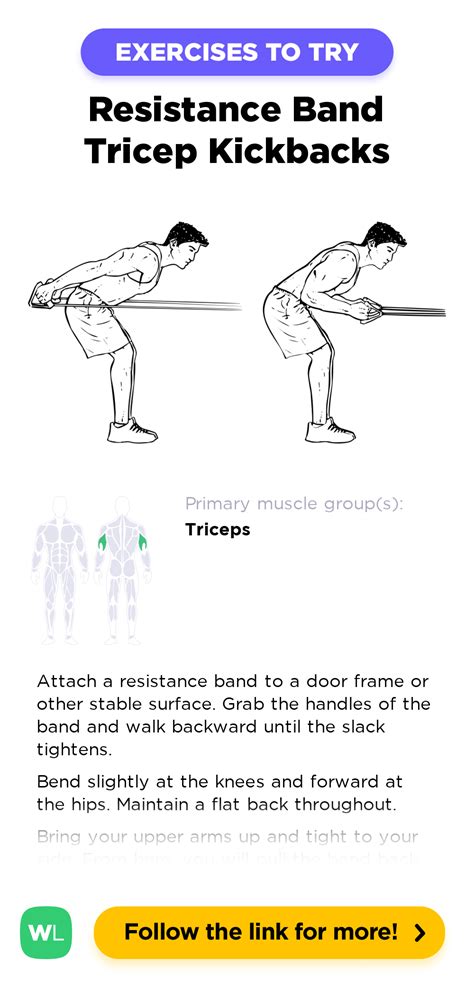 Resistance Band Tricep Kickbacks – WorkoutLabs Exercise Guide