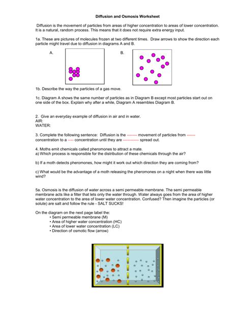 Diffusion and Osmosis Worksheet