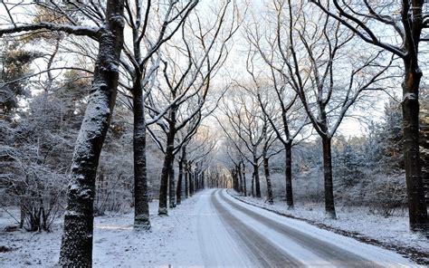 Snowy road through the forest wallpaper - Nature wallpapers - #36546