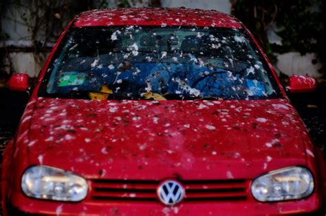 These 5 Common Things Will Ruin Your Car's Paint