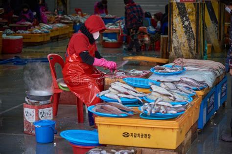 Jagalchi Fish Market the Largest Seafood Market in Busan South Korea Editorial Stock Image ...