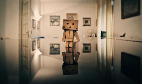 Danbo by myfamilysmistake on DeviantArt