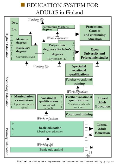 PPT - EDUCATION SYSTEM FOR ADULTS in Finland PowerPoint Presentation, free download - ID:3340737