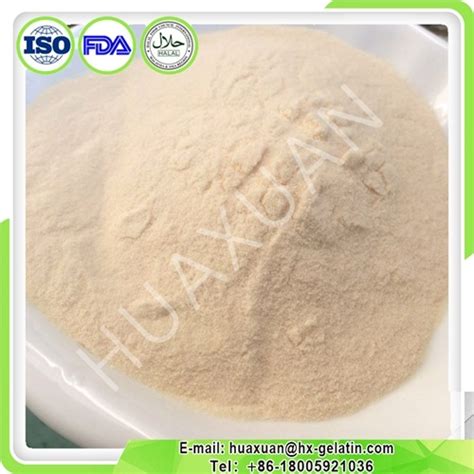 China Pure Hydrolysate Collagen Type II Fore Joints - China Pure ...