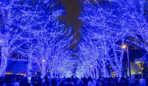 Shibuya Blue Cave Illumination, 6th Dec–25th Dec, 2024 | Tokyo Cheapo