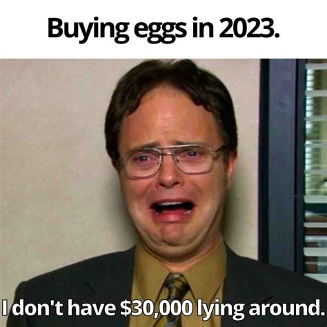 The Funniest Expensive Egg Memes in 2023 - Lola Lambchops