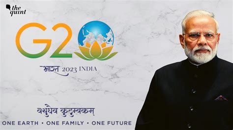 In Diversity Pitch, PM Modi Unveils Lotus As G20 India Logo: What Does ...