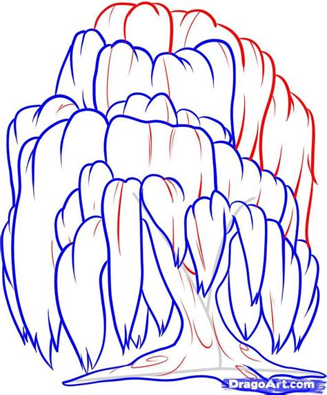 How to Draw a Willow Tree, Weeping Willow, Step by Step, Trees ...