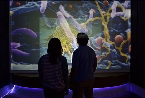 These Science Museums Are Actually Fun for Kids | HuffPost