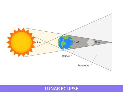 Premium Vector | Diagram showing lunar eclipse on earth illustration