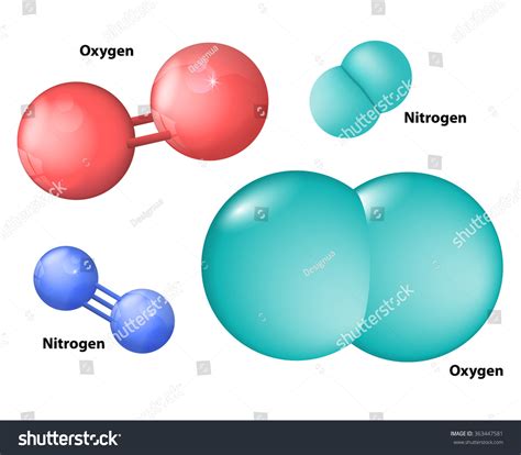 Nitrogen Molecule And Oxygen Molecule Stock Vector Illustration ...