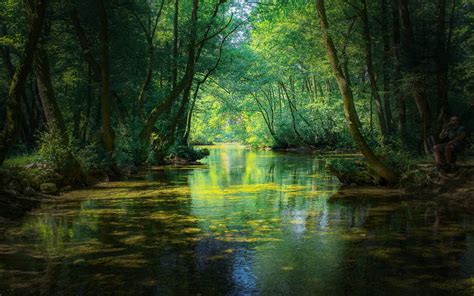 Nature Shadows On The Bosnia Herzegovina Sarajevo Country In The ...