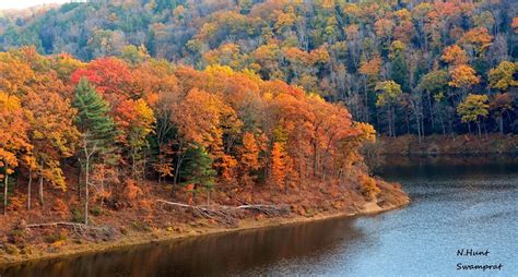 Tionesta Dam...NW PA by N. Hunt ,Swamprat Photography | Fall pictures, The great outdoors, Scenery