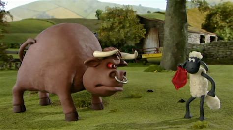 BBC iPlayer - Shaun the Sheep - Series 1: 9. The Bull