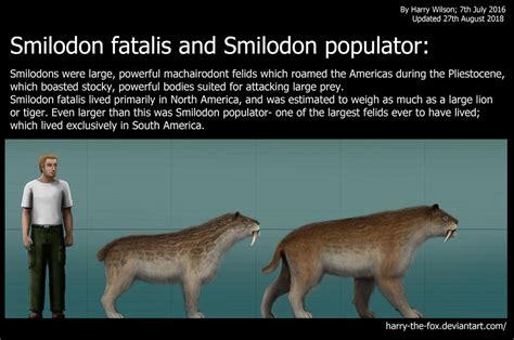 Smilodon size comparison by Harry-the-Fox on DeviantArt