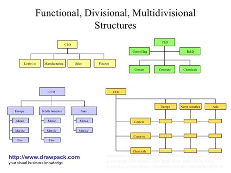 Functional, divisional, multidivisional structures