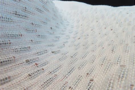 This fabric doubles as 1,200 solar panels | Popular Science