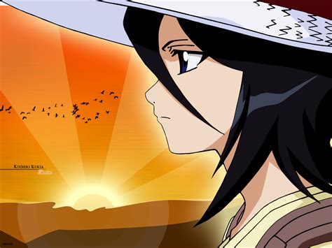 Rukia - Bleach Anime Wallpaper (6903436) - Fanpop