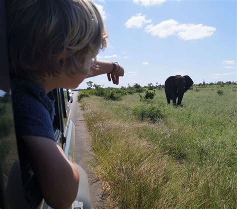 The TRUTH about doing an African safari with kids