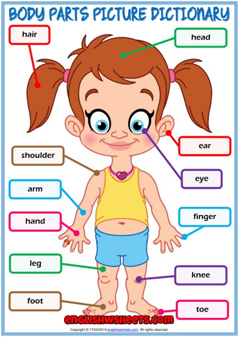 Body Parts ESL Printable Picture Dictionary For Kids | Body parts preschool, Body parts for kids ...