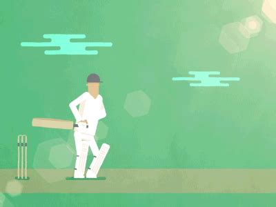 I Don't Like Cricket | Motion graphics tutorial, Cricket, Animated ...