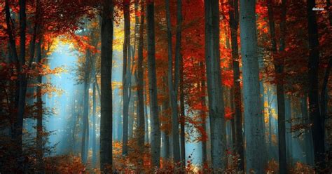 25 Aesthetic Autumn Desktop Wallpaper- Fall Aesthetic Desktop ...