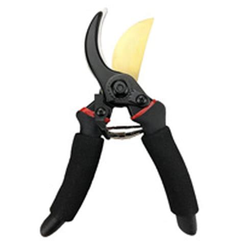 How to Maintain Bypass Pruners - This Old House